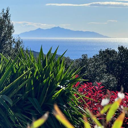 Gite Independant Dans Villa Entre Mer Et Maquis Sisco Eksteriør billede